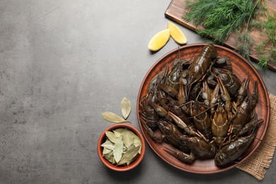 Fresh raw crayfishes with lemon, dill and bay leaves on grey table, flat lay. Space for text