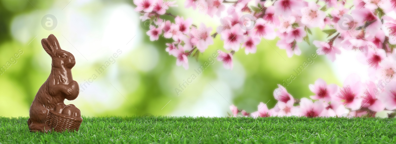 Image of Chocolate bunny on green grass outdoors, space for text. Easter celebration