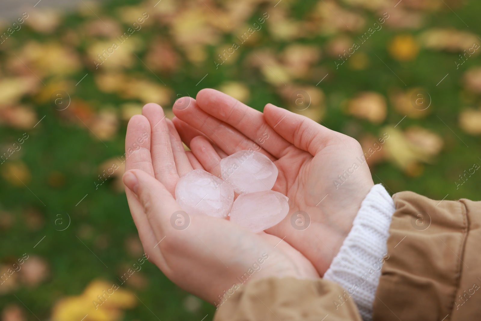 Photo of Woman holding hail grains after thunderstorm outdoors, closeup