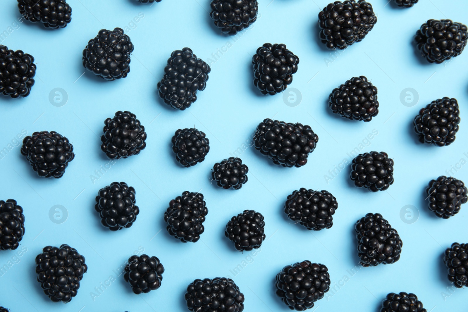 Photo of Flat lay composition with ripe blackberries on color background