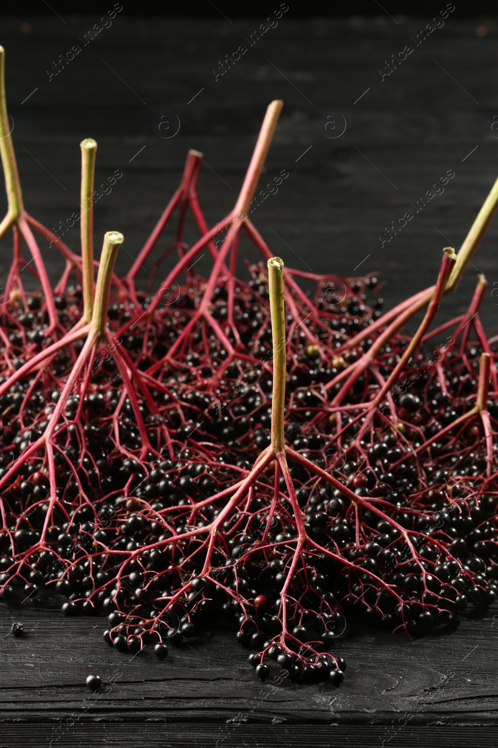 Photo of Bunches of ripe elderberries (Sambucus) on black wooden table, closeup