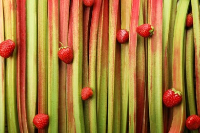 Fresh rhubarb stalks and strawberries as background, top view