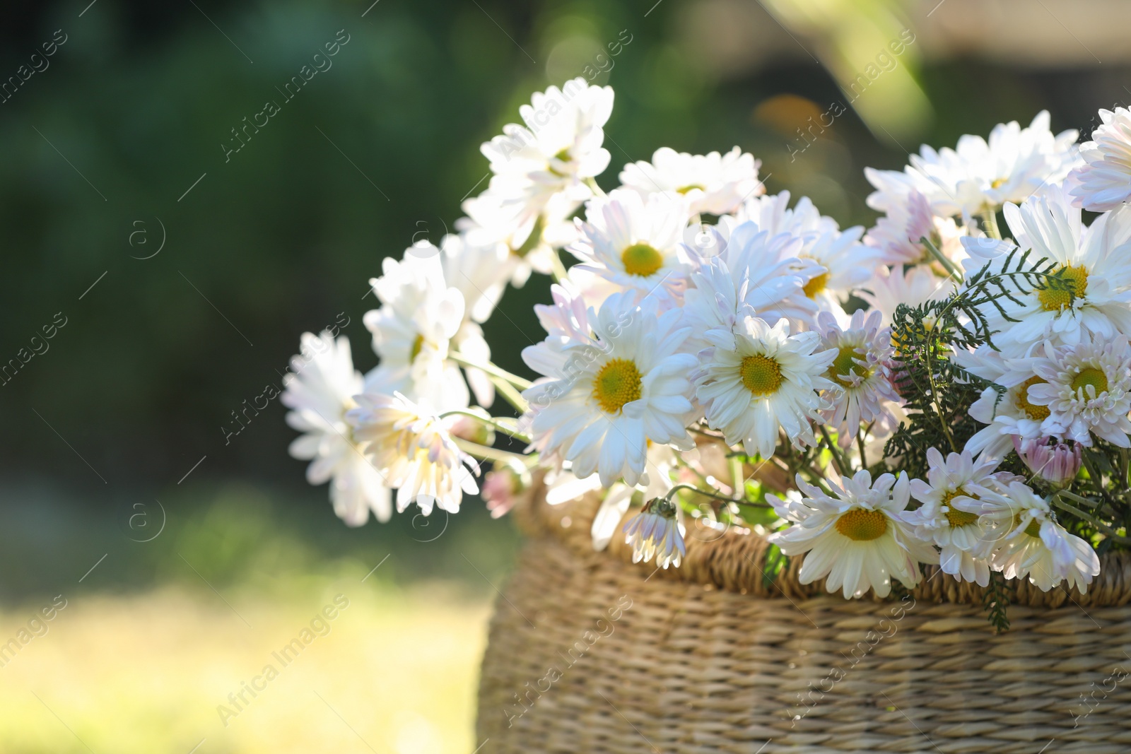 Photo of Beautiful wild flowers in wicker basket on blurred background, closeup