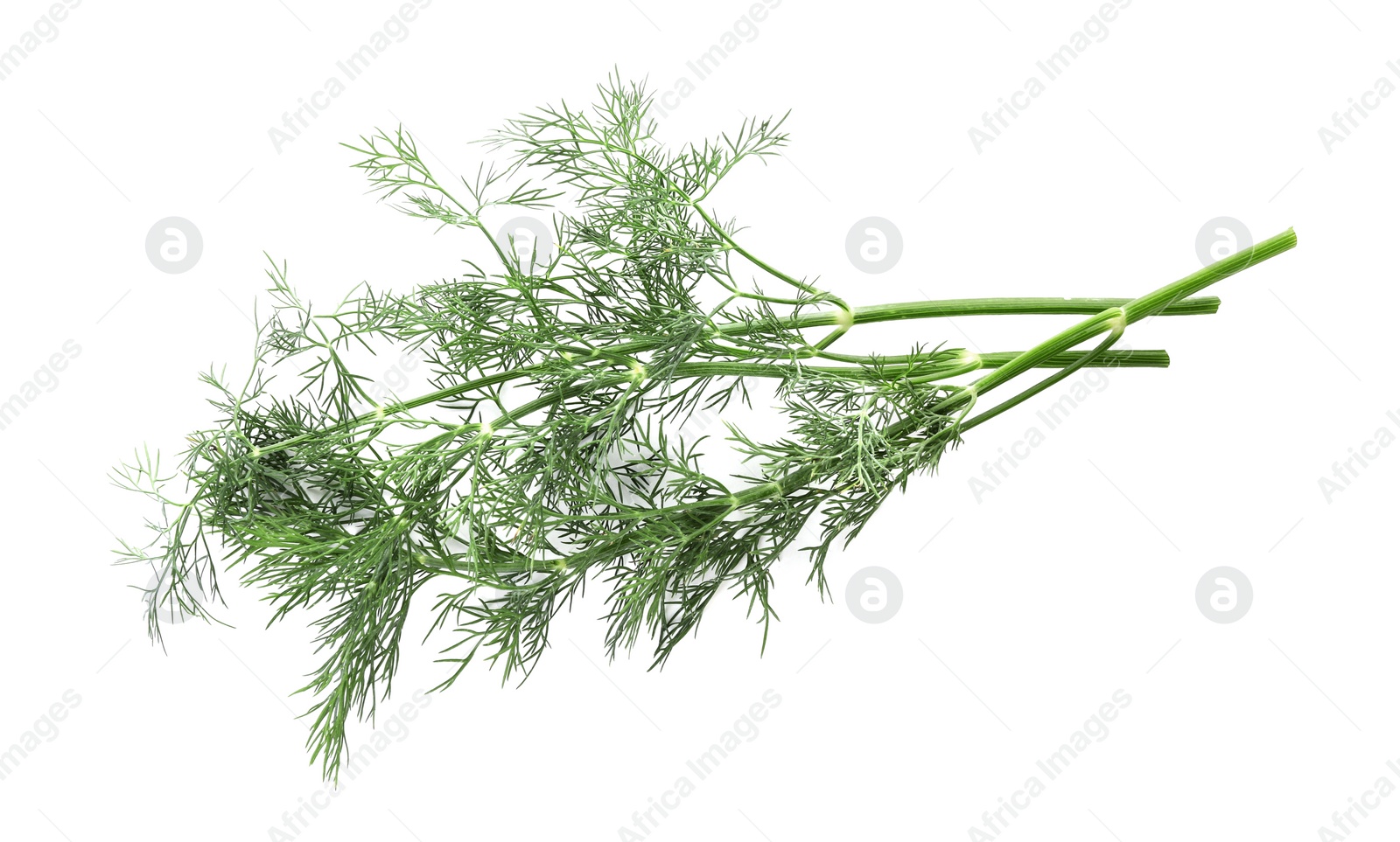 Photo of Sprigs of fresh dill isolated on white, top view