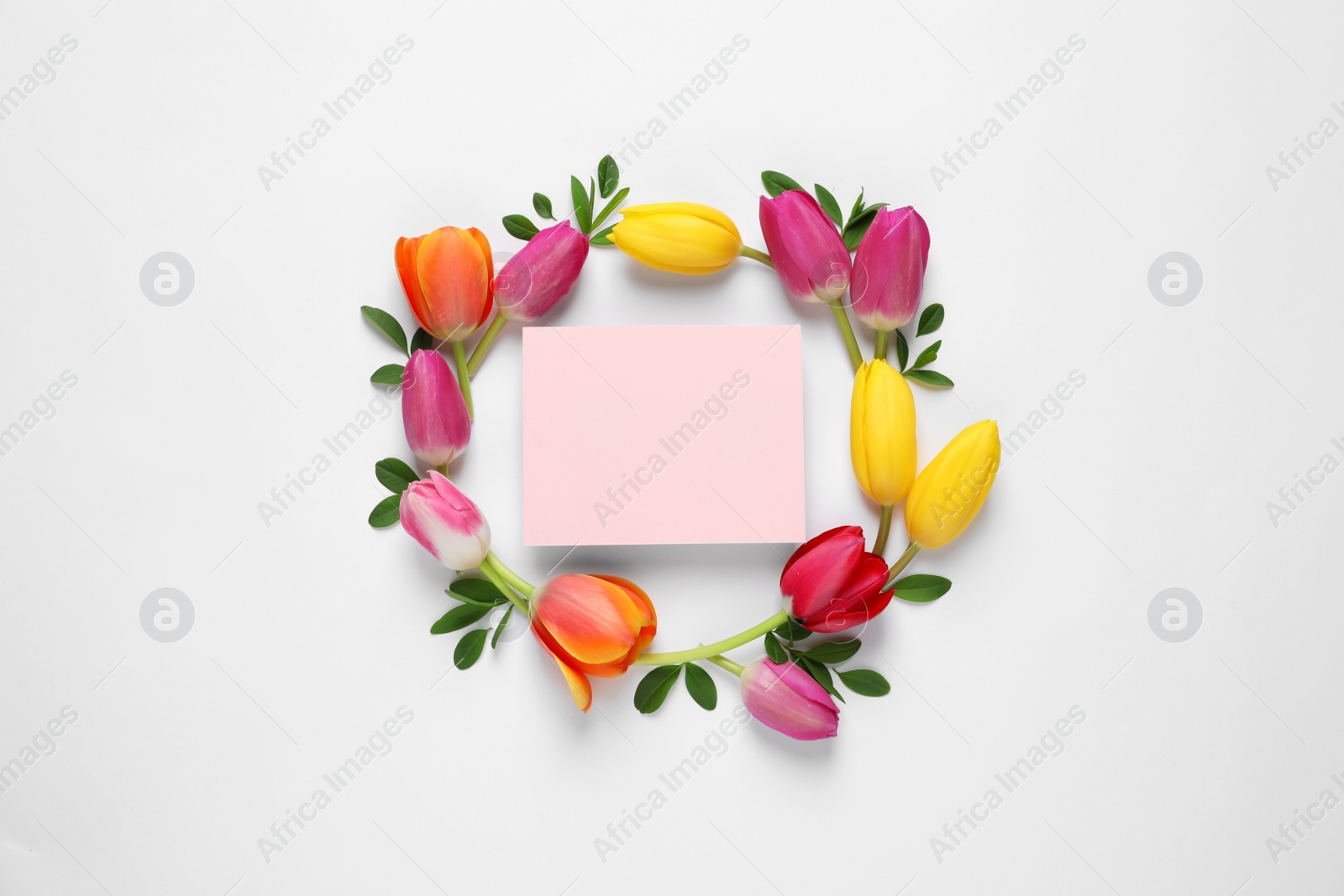 Photo of Beautiful composition with spring flowers and blank card on white background, top view. Space for text