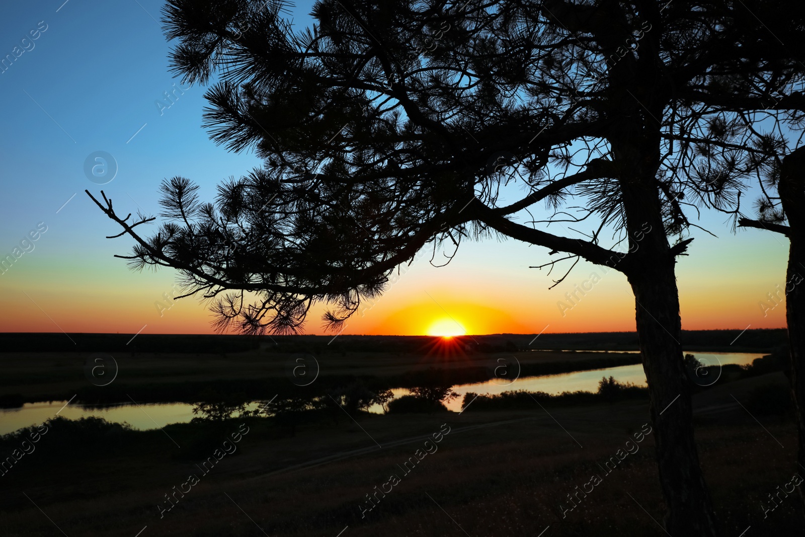 Photo of Picturesque view of tree near river at sunset