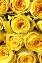 Photo of Beautiful bouquet of yellow roses as background, top view