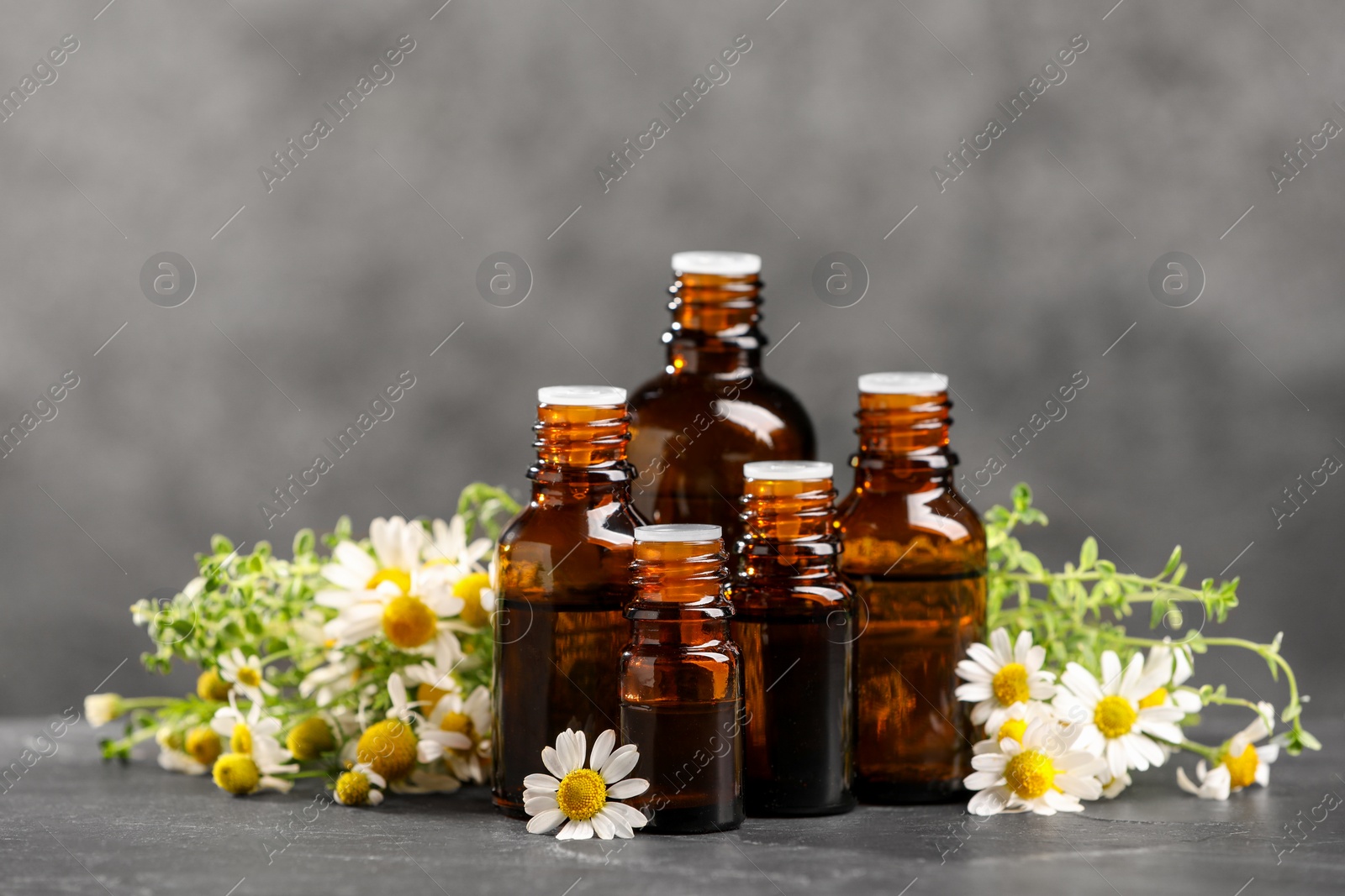 Photo of Bottles with essential oils, chamomile and thyme on grey textured table