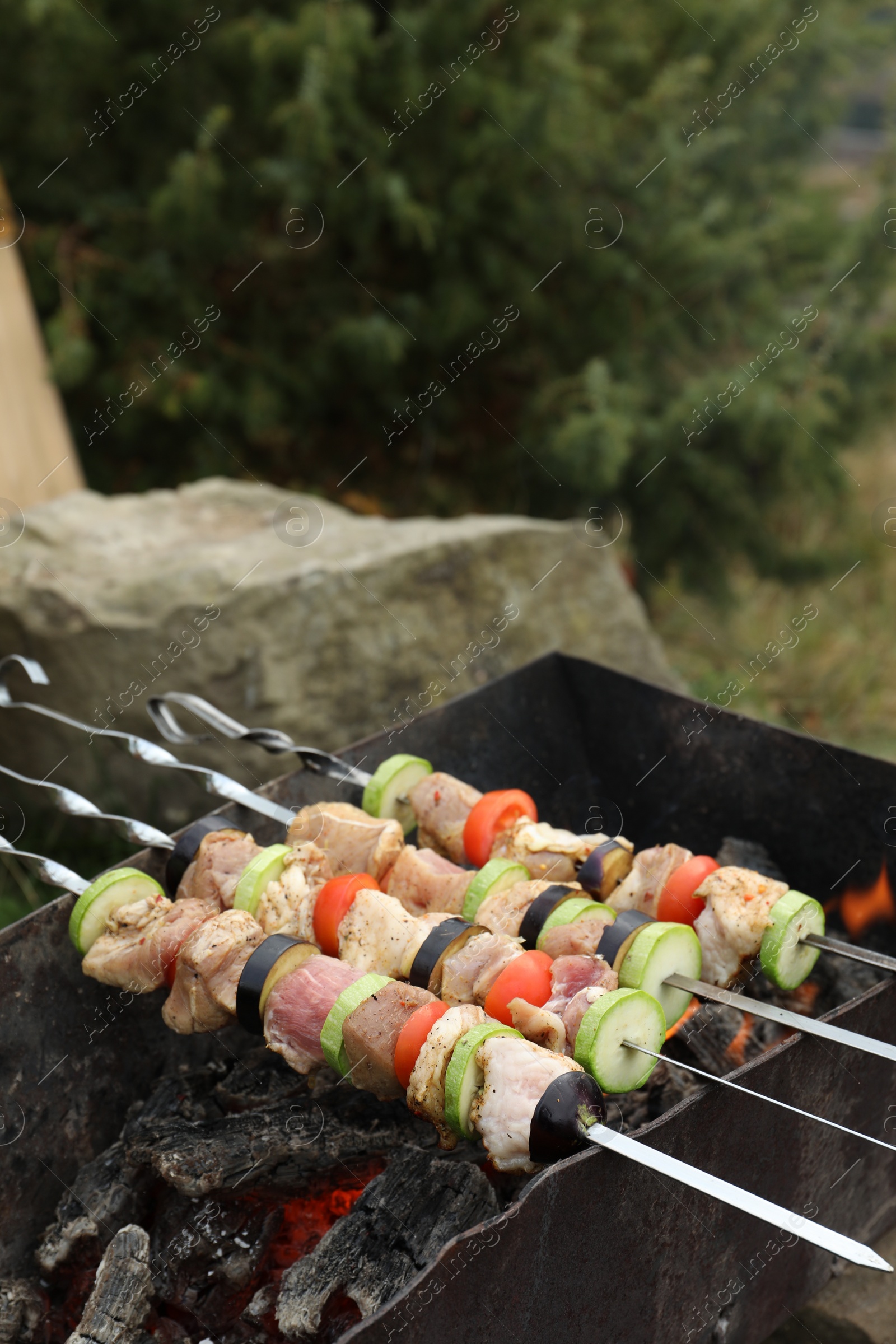 Photo of Cooking meat and vegetables on brazier outdoors