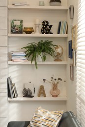Photo of Beautiful green plant and different decor on shelves in room. Interior design