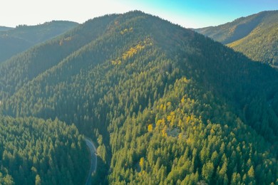 Beautiful mountains covered with forest on sunny day. Drone photography