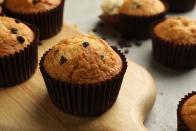 Delicious sweet muffins with chocolate chips on grey table, closeup