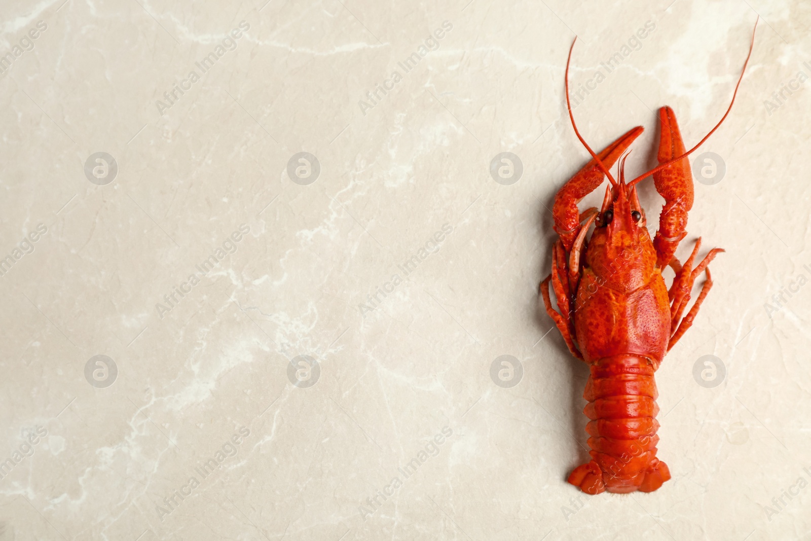 Photo of Delicious boiled crayfish on light grey marble table, top view. Space for text