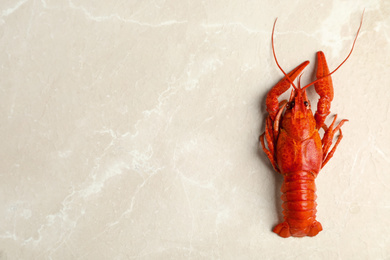 Photo of Delicious boiled crayfish on light grey marble table, top view. Space for text