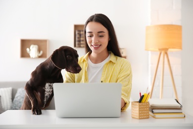 Photo of Young woman working on laptop near her playful dog in home office