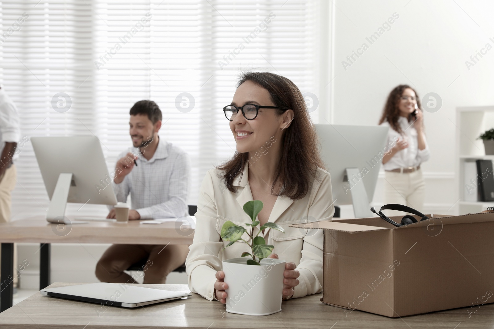 Photo of New coworker with plant at workplace in office