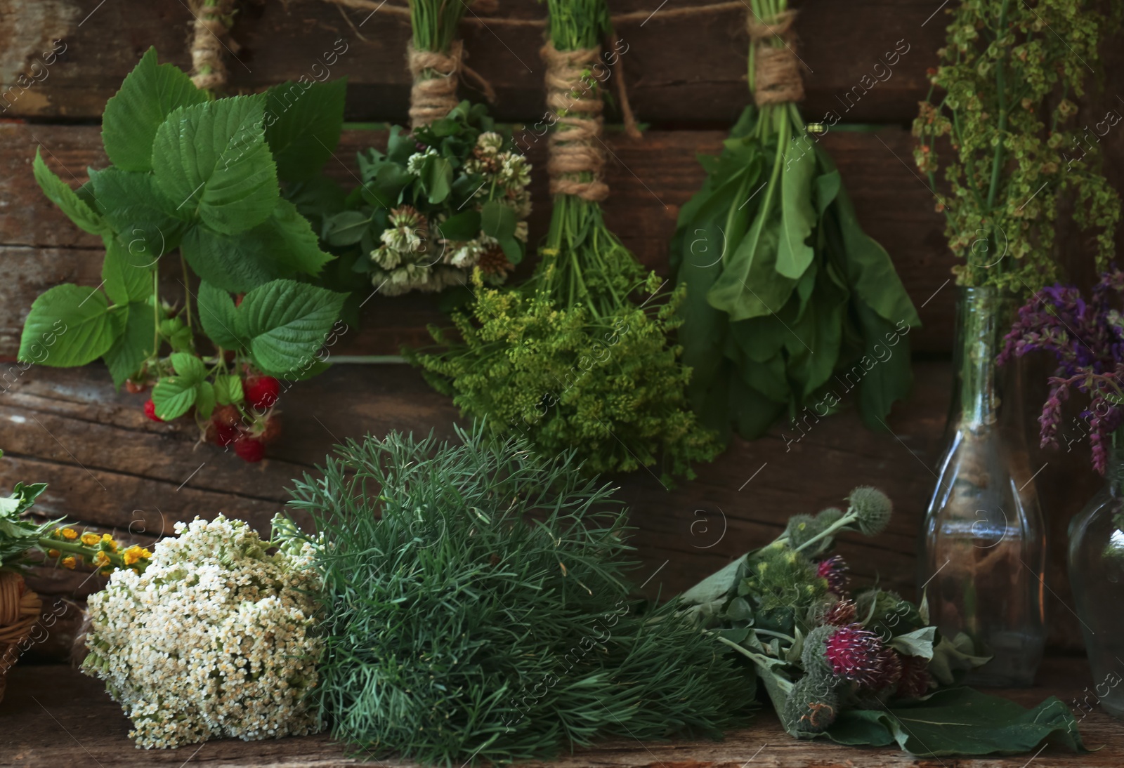 Photo of Bunches of different beautiful dried flowers and herbs indoors