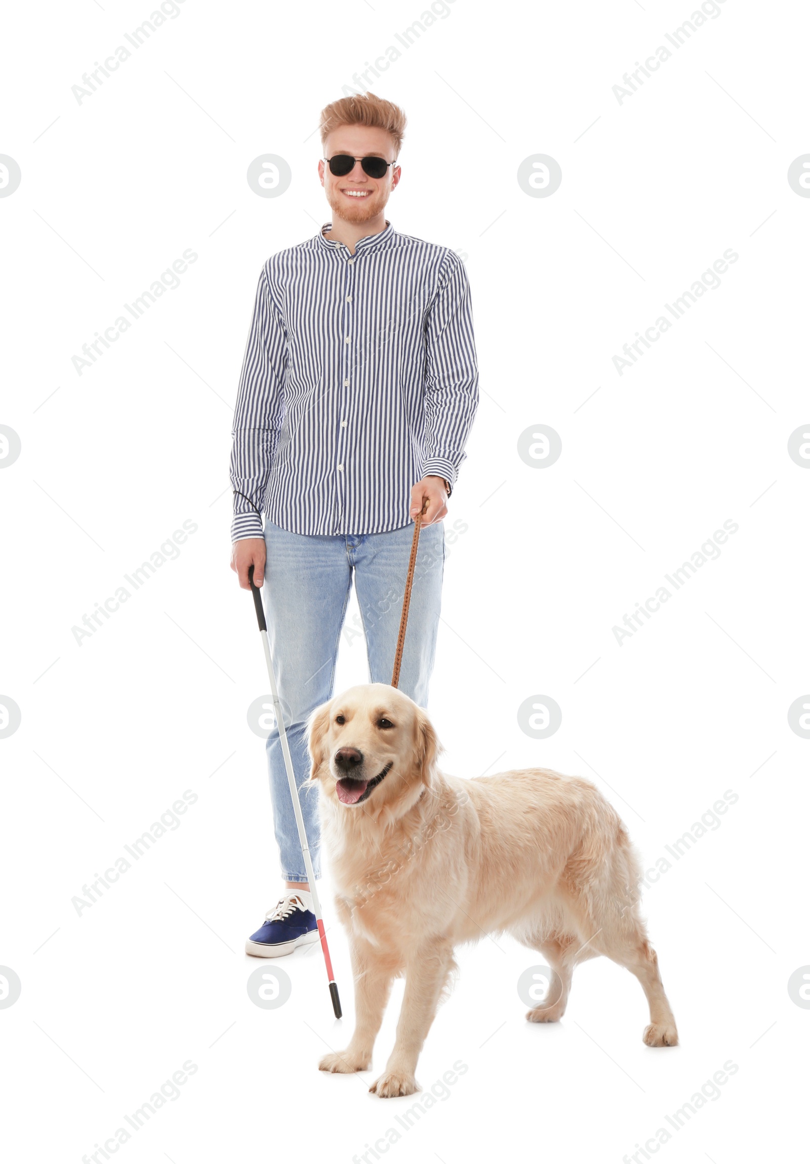 Photo of Blind person with long cane and guide dog on white background