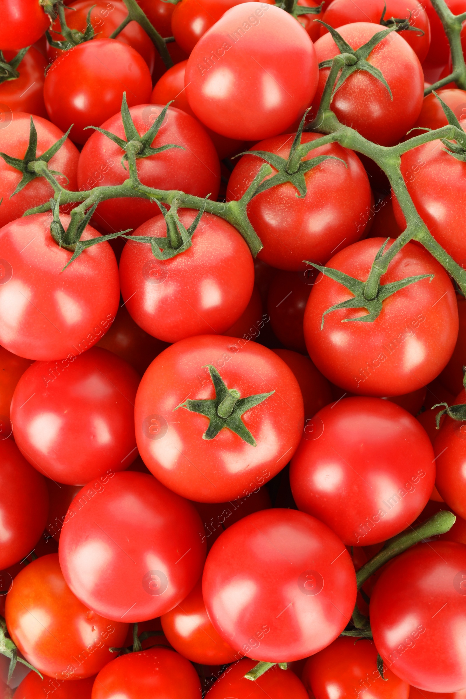 Photo of Many fresh ripe cherry tomatoes as background, top view