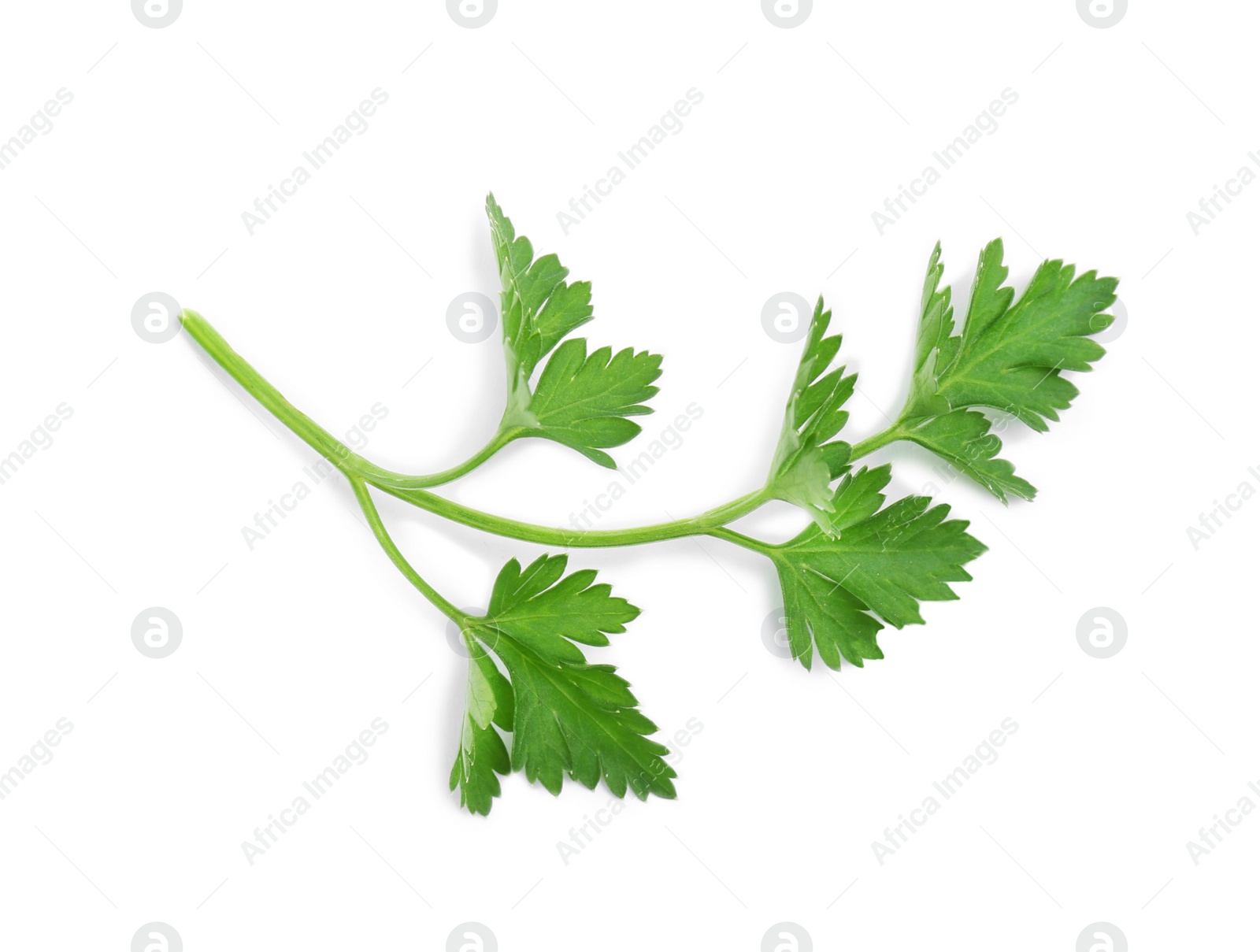 Photo of Leaves of fresh tasty parsley on white background, top view