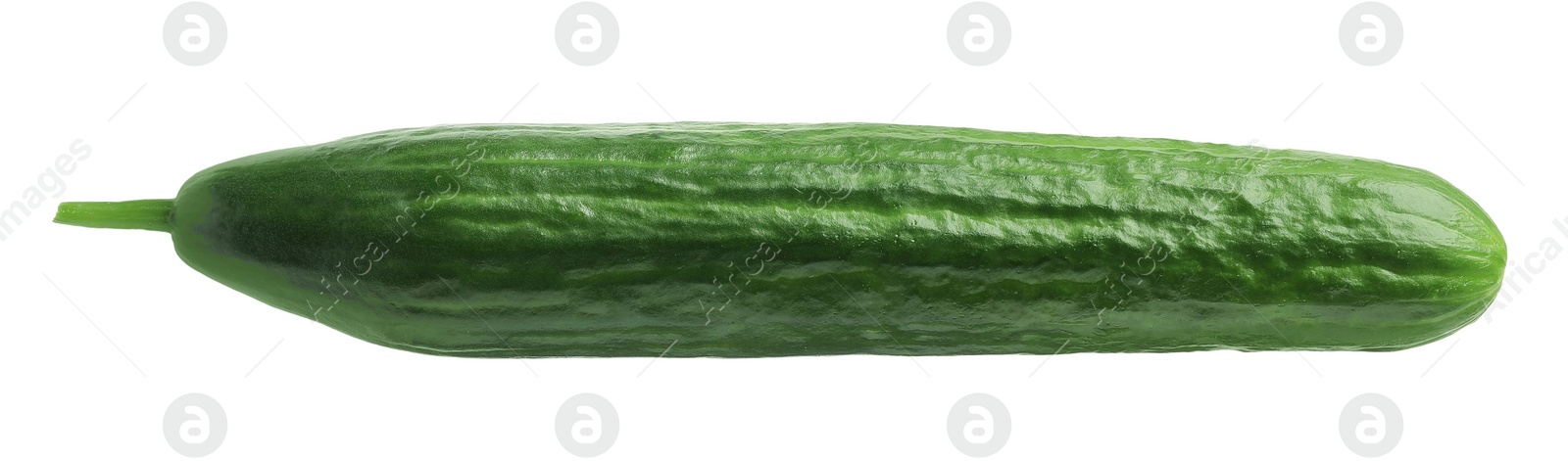 Photo of One long fresh cucumber isolated on white