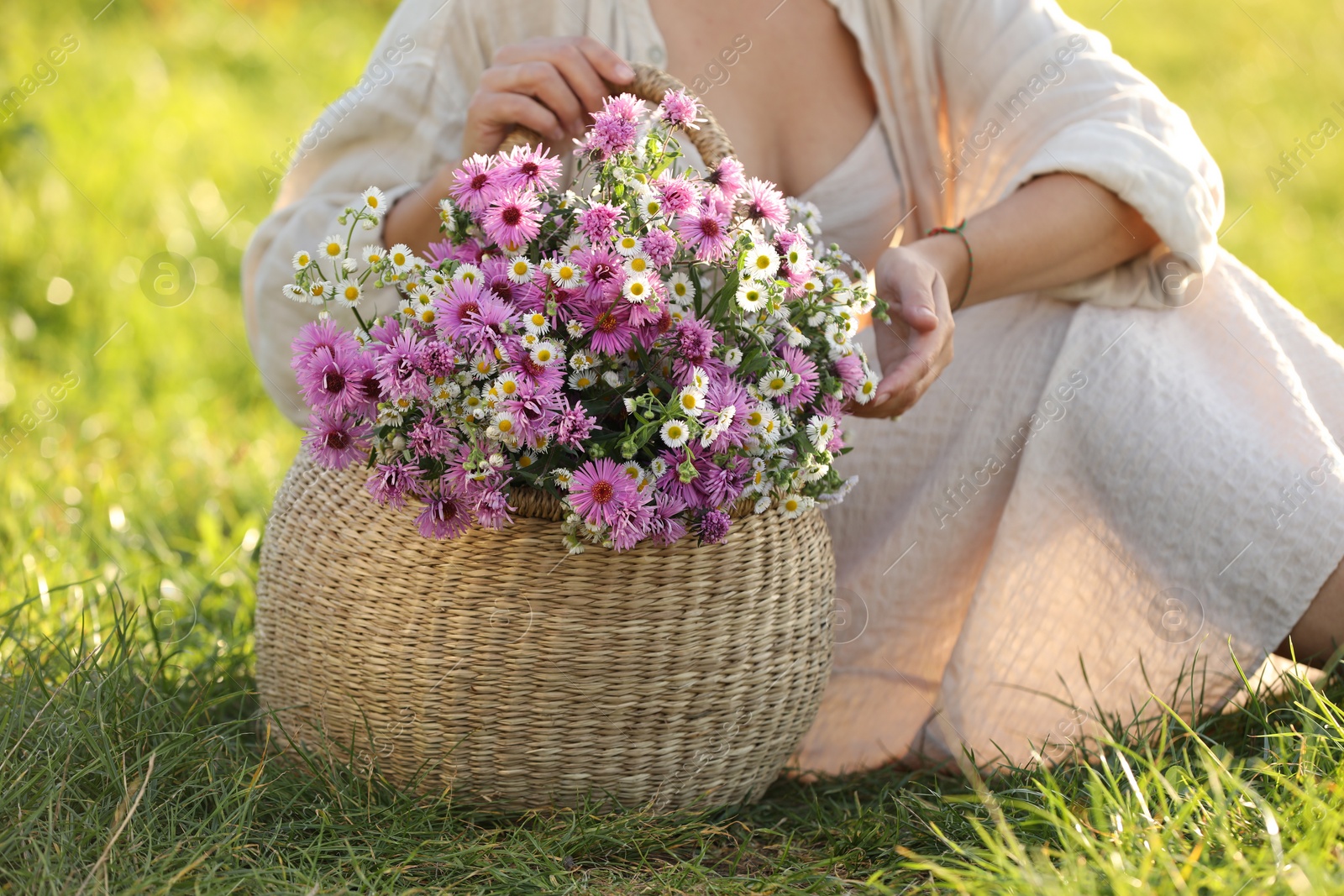 Photo of Woman holding wicker basket with beautiful wild flowers outdoors, closeup