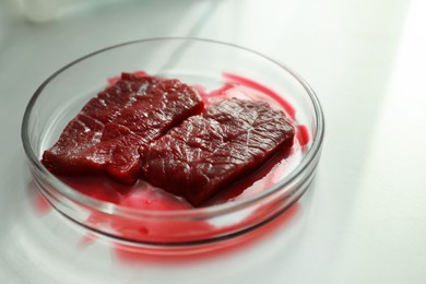 Photo of Petri dish with pieces of raw cultured meat on white table, closeup