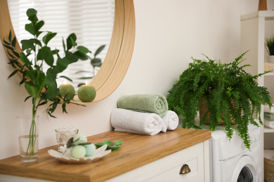 Beautiful green plants in elegant modern bathroom. Interior design