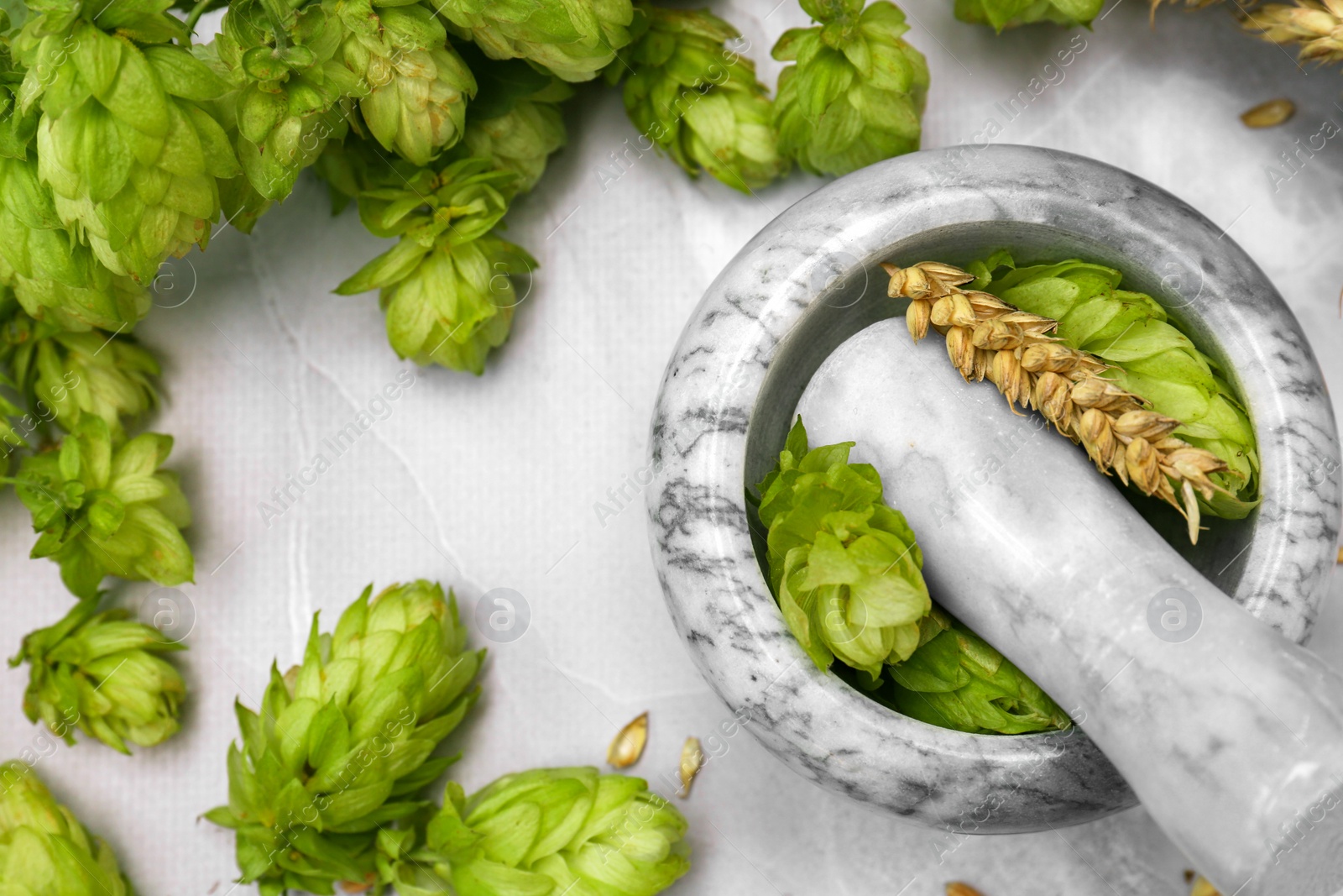 Photo of Mortar with pestle, fresh hops and ears of wheat on light grey marble table, flat lay