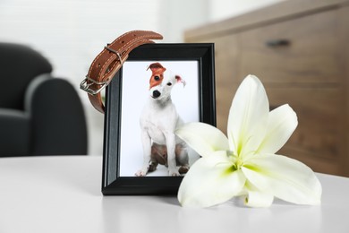 Frame with picture of dog, collar and lily flower on white table indoors, closeup. Pet funeral