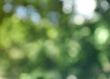 Blurred view of abstract green background. Bokeh effect