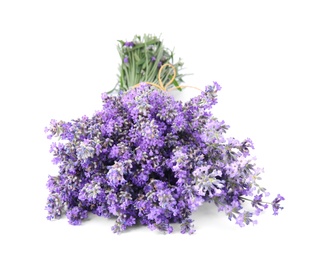 Photo of Beautiful tender lavender flowers on white background