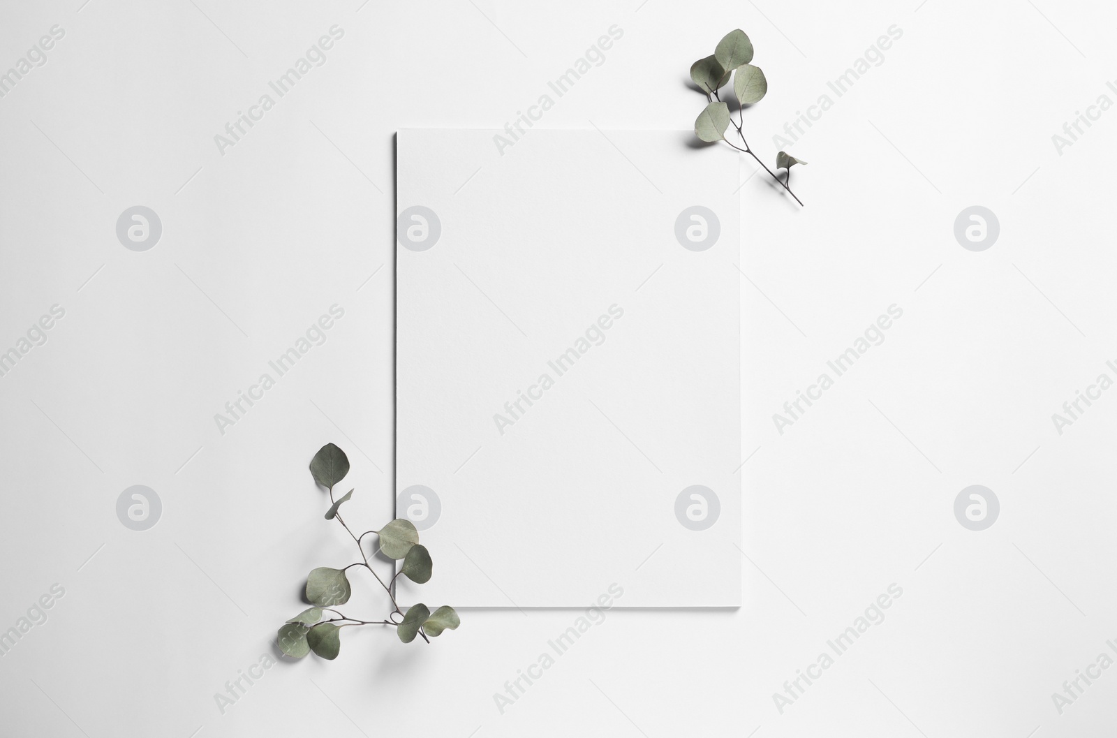 Photo of Empty sheet of paper and decorative eucalyptus leaves on white background, flat lay. Mockup for design