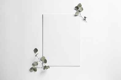 Empty sheet of paper and decorative eucalyptus leaves on white background, flat lay. Mockup for design