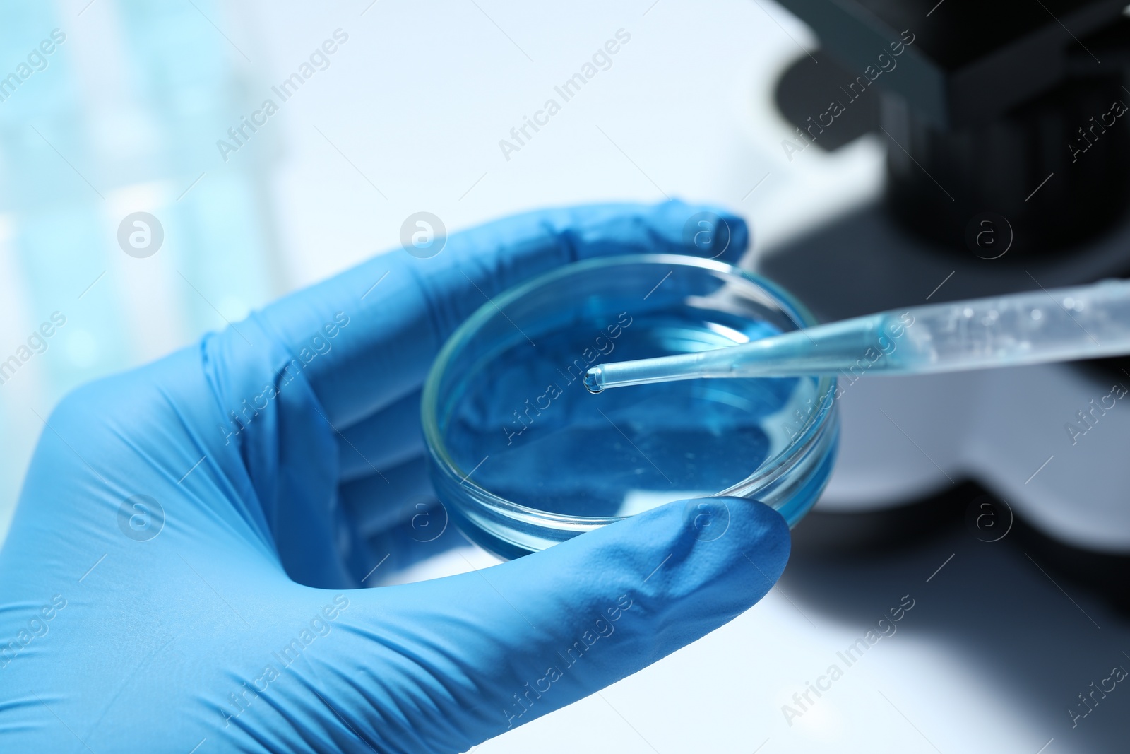 Photo of Scientist dripping liquid from pipette into petri dish at white table, closeup