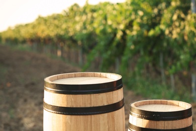 Photo of Wooden barrels standing in vineyard on sunny day. Wine production