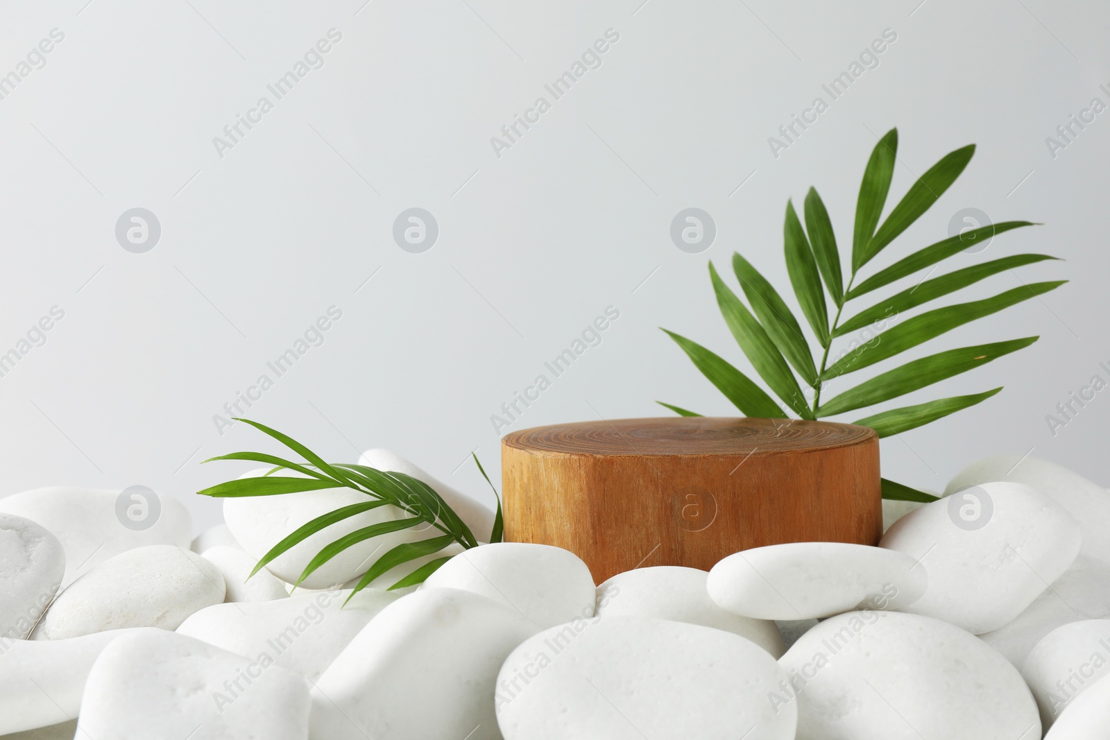 Photo of Presentation for product. Wooden podium and green twigs on white pebbles. Space for text