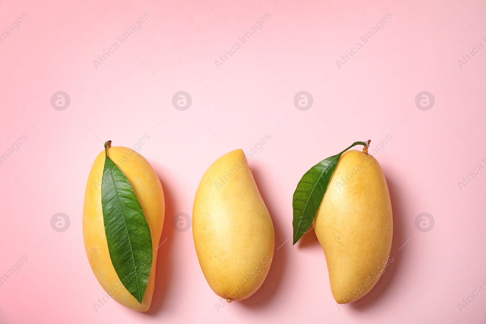 Photo of Flat lay composition with mango fruits on color background. Space for text