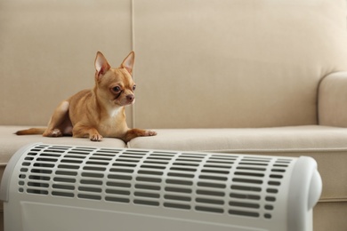 Photo of Chihuahua dog lying on sofa near electric heater indoors
