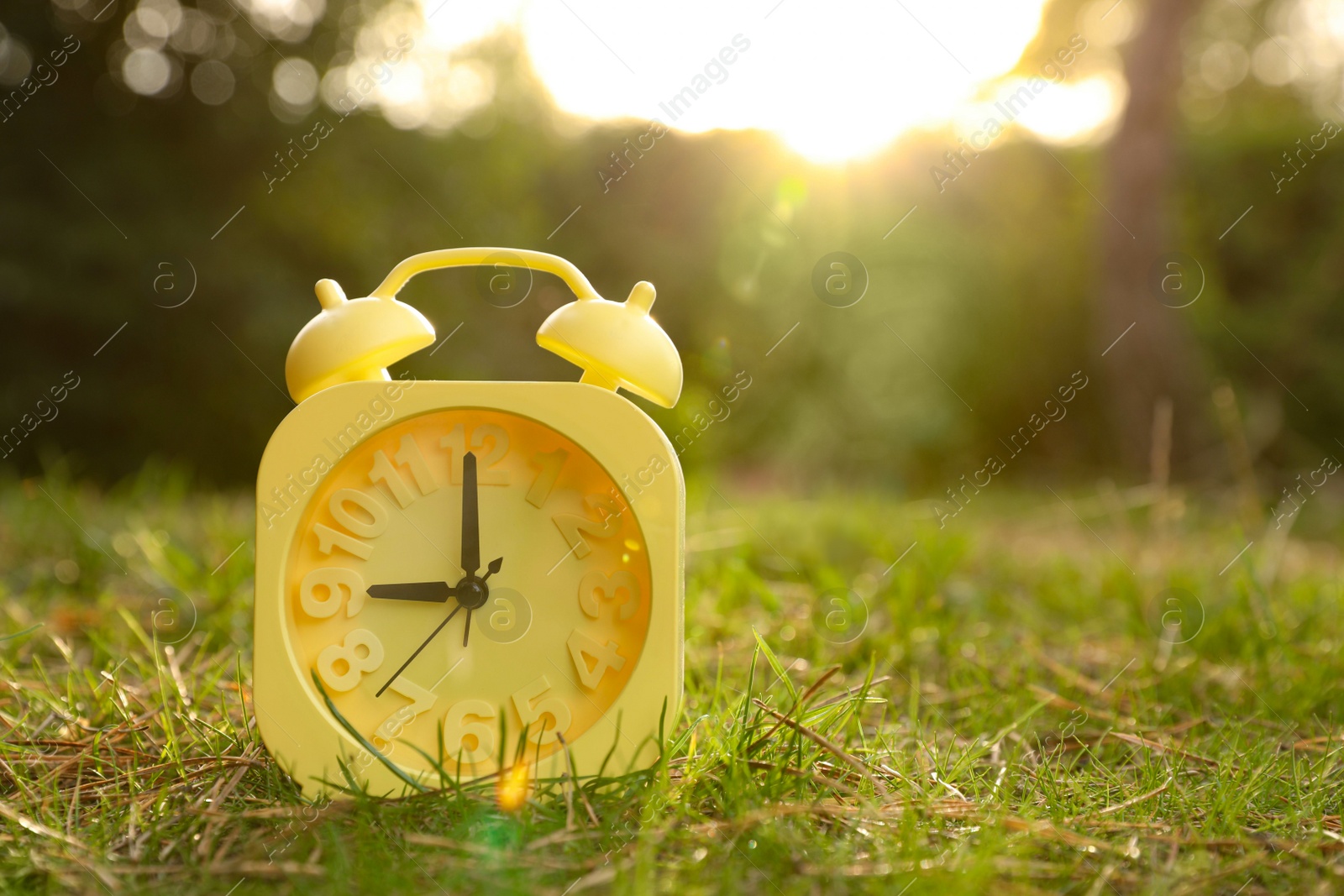 Photo of Yellow alarm clock on green grass outdoors. Space for text