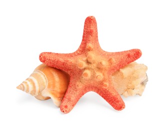 Beautiful sea star, stone and seashell isolated on white