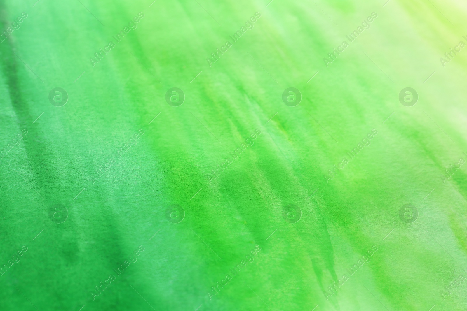 Photo of Abstract colorful background, closeup. Painted sheet of paper