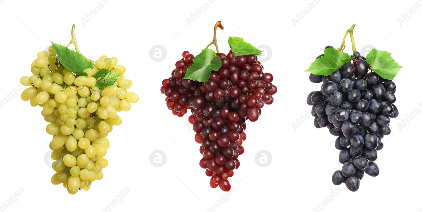 Image of Set of fresh grapes on white background. Banner design