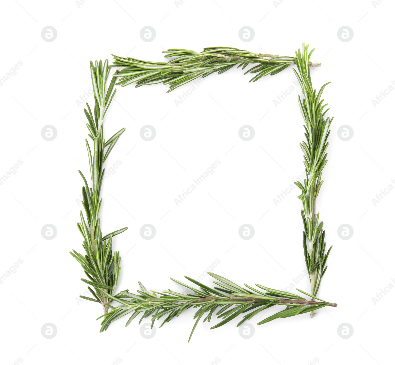 Photo of Frame made of fresh rosemary twigs on white background, top view. Space for text