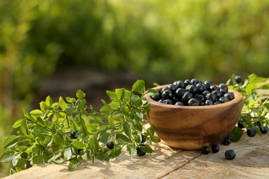 Photo of Bowl of bilberries and green twigs with ripe berries on wooden table outdoors