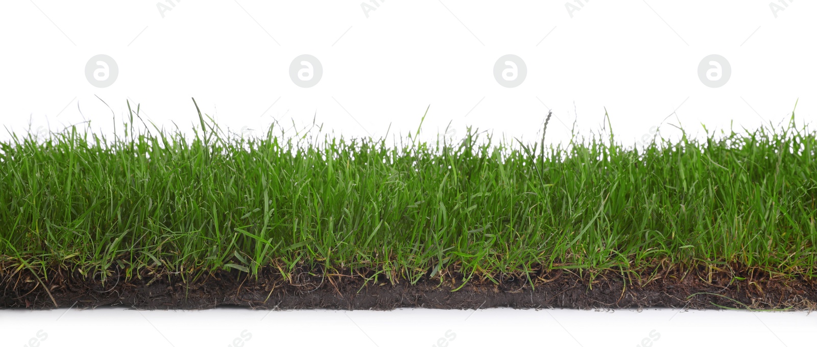 Photo of Soil with green grass on white background