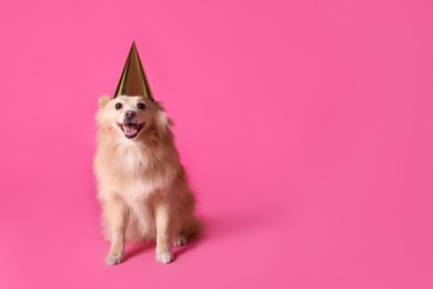 Photo of Cute dog with party hat on pink background, space for text. Birthday celebration