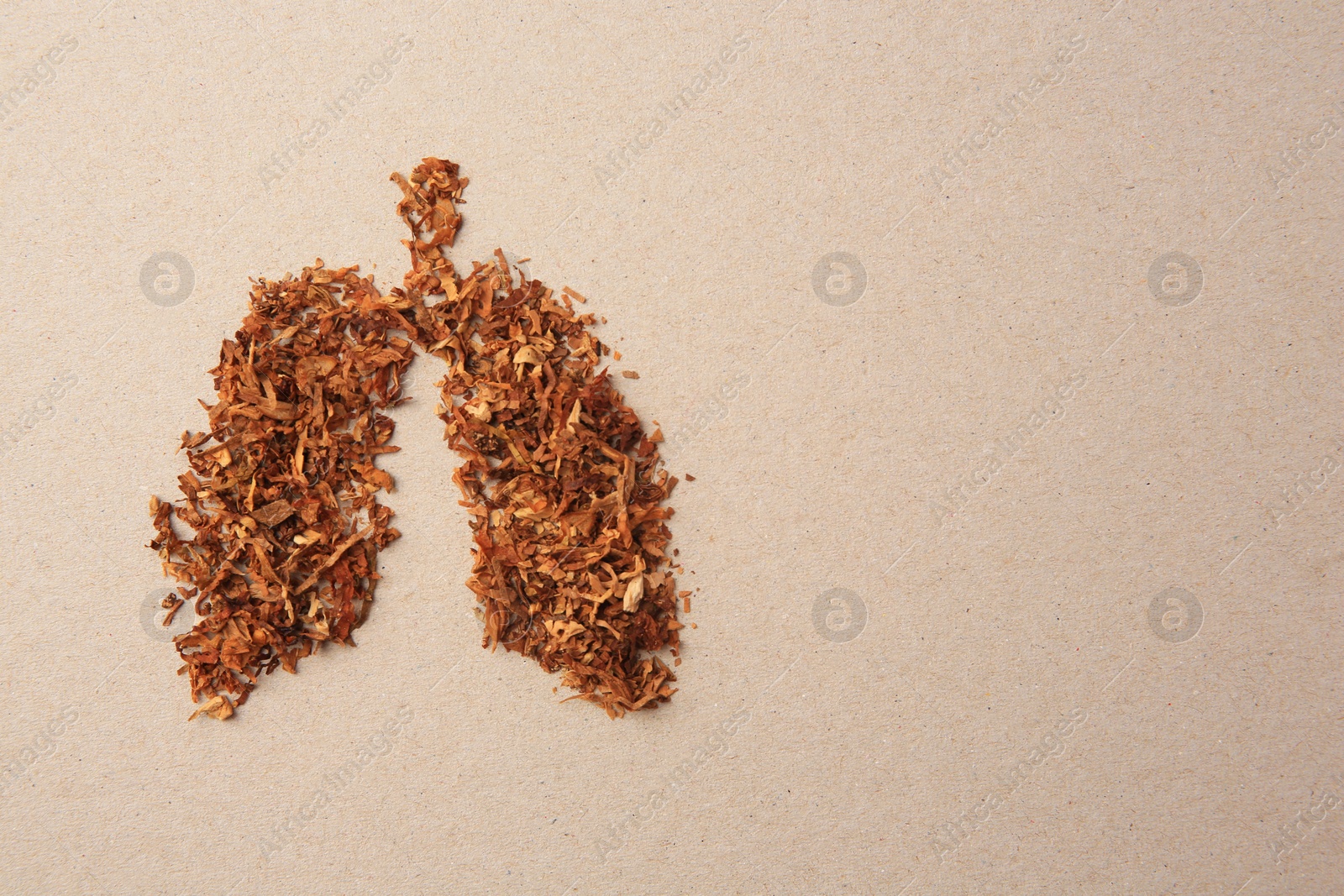 Photo of Human lungs made of tobacco on paper, top view and space for text. No smoking concept