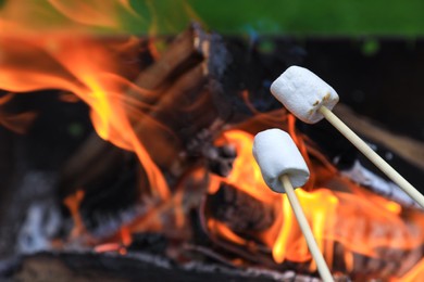 Delicious puffy marshmallows roasting over bonfire, closeup. Space for text