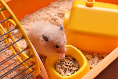 Photo of Cute little hamster eating seeds, closeup view